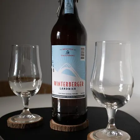 Apartment - Skipiste Um Ecke Winterberg