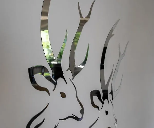 Lejlighed - Skipiste Um Ecke Winterberg